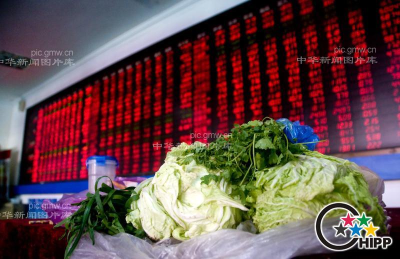 2010中国股市_张磊_ 中华新闻图片库