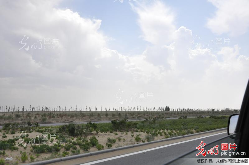 库布齐沙漠治理_新闻--环保_+光明图片
