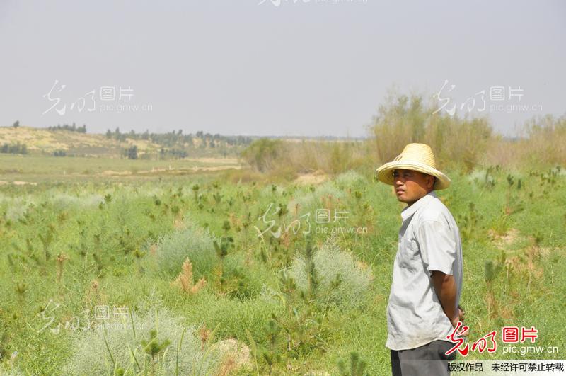 库布齐沙漠治理_新闻