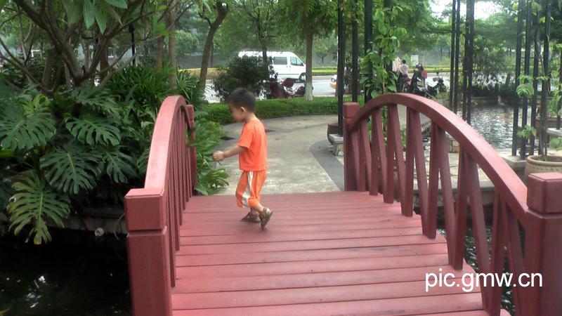 广东中山市粤菜名店海港城锦鲤池_上传分享_