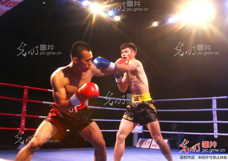 2012全国自由搏击比赛龙象争霸_新闻