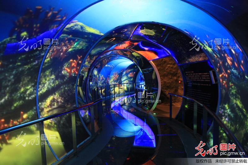 北京房山世界地质公园博物馆梦幻展厅_新闻