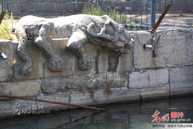 镇水神兽图片