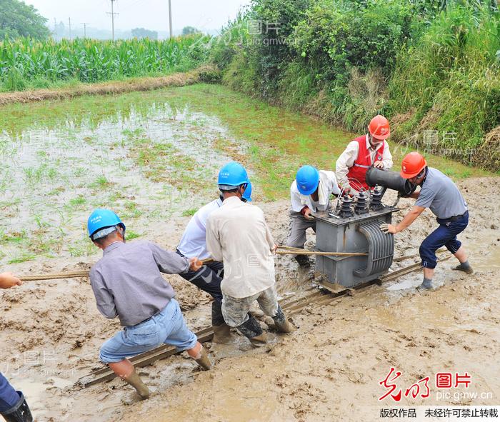 安徽庐江:千亩油茶基地告别低电压_刘俊