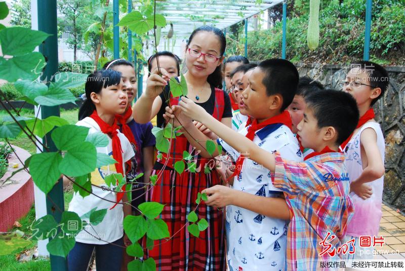建德小学生:暑假课堂识瓜果 体会收获新快乐_