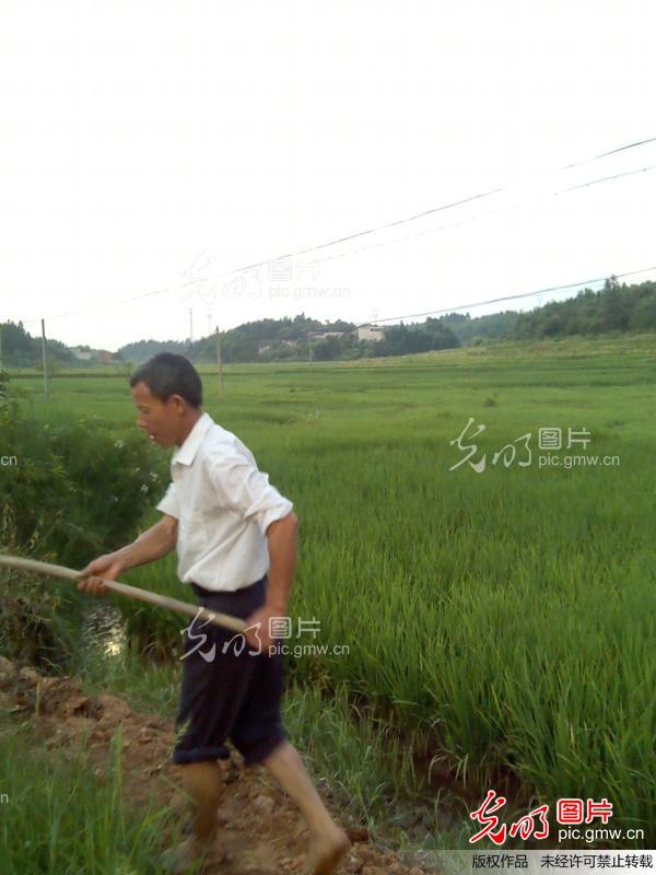 以校为家,乡村最美代课老师._最美乡村教师