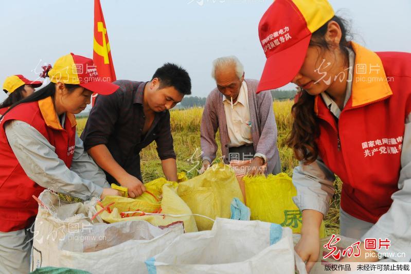 安徽来安:党员服务队帮助孤寡老人抢收稻谷