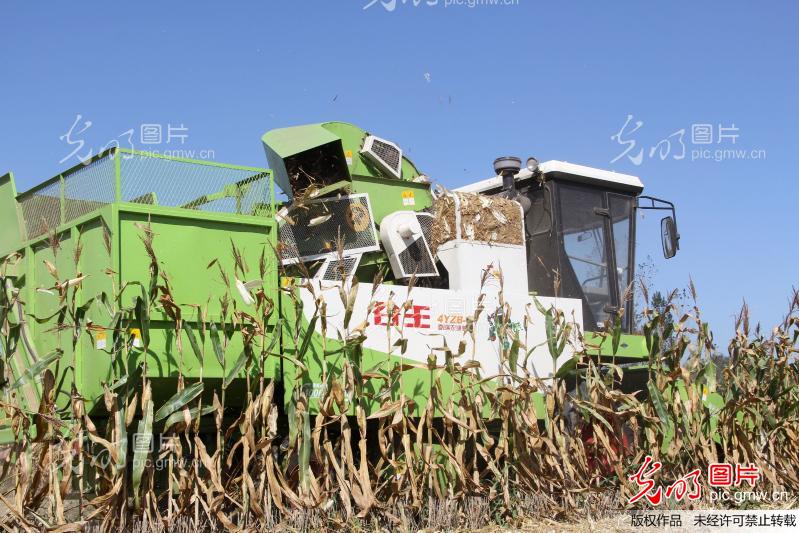 20120928143731_9788.jpg