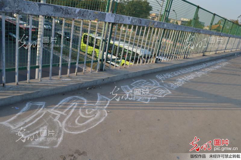 65岁单身老人过街天桥征婚_南人北客