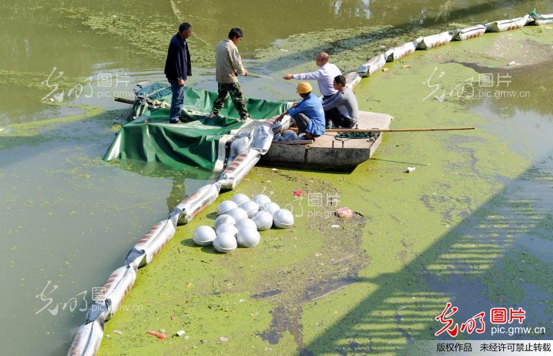 江苏连云港实施黑臭治理破解城市河道排污难题