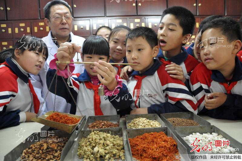 北邯郸:迎接世界传统医药日 小学生感受中医神