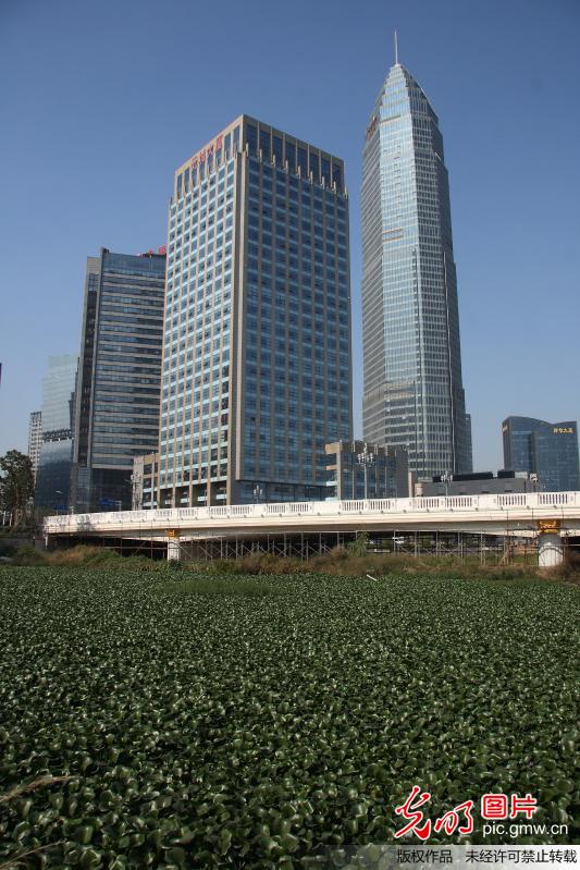 浙北第一高楼-绍兴世茂中心