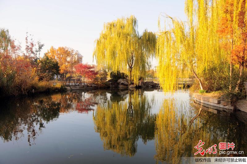山东济南:大明湖畔秋色美景让人醉_新闻--自然