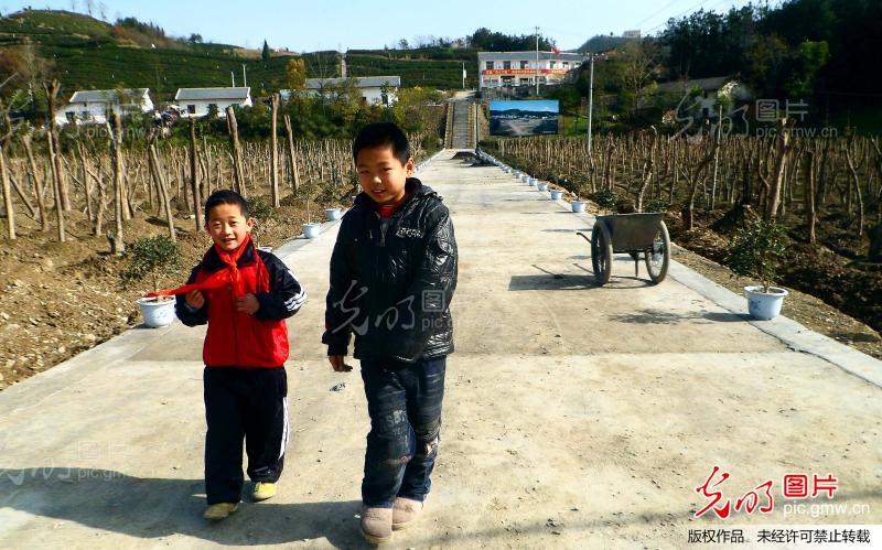 湖北三万活动建设新农村