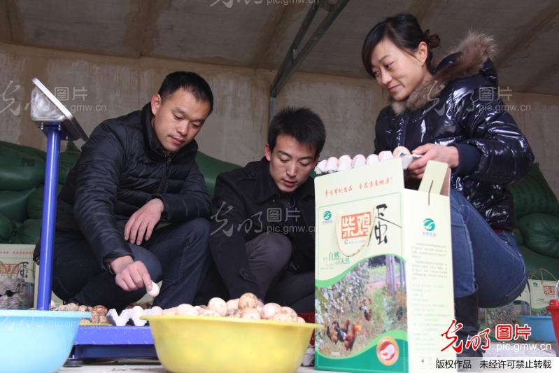 河北霸州:大学生扎根农村带头创业_王阁明