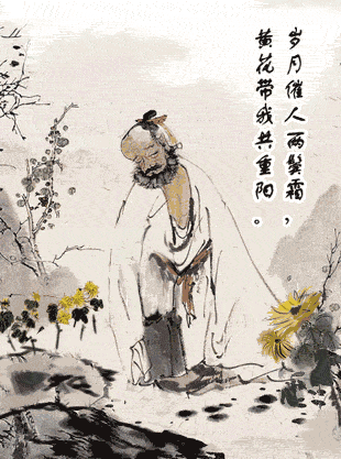 爱乃娜美作品番号 ></p></a> 有诗词的动态图片大全 元旦的诗句古诗大全  2018