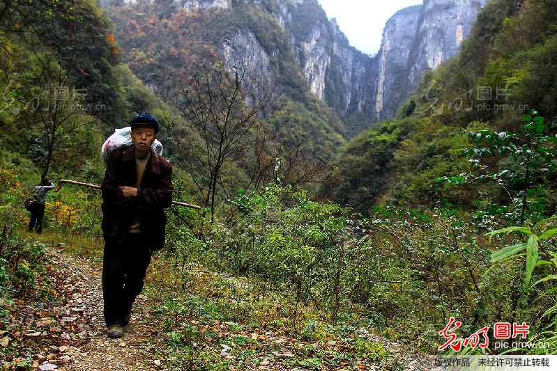 深闺秀色鹿院坪_创意--风光旅游