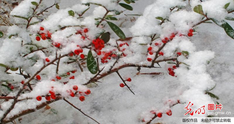 20121217143050_2477.jpg