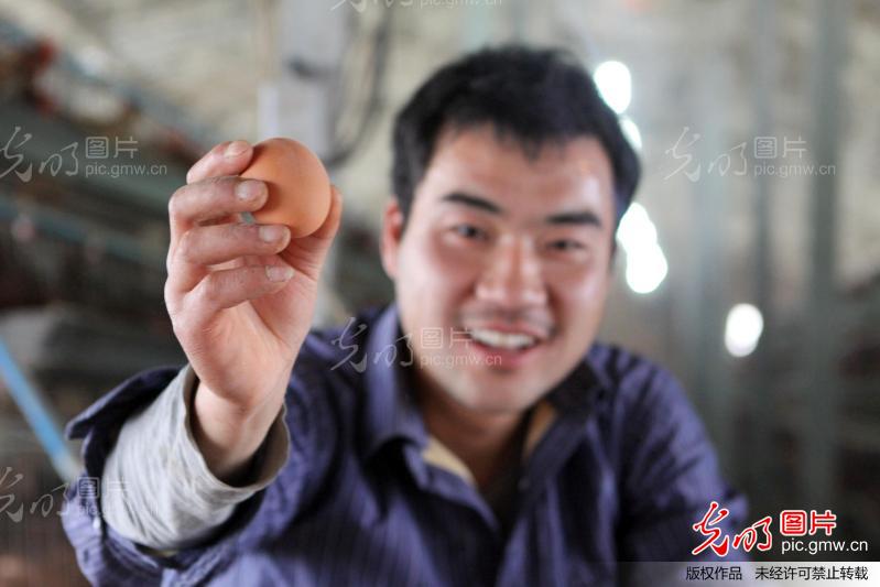 退伍军人回乡创业 服务于民走上致富路_新闻