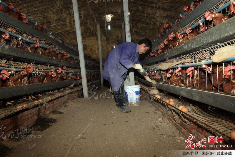 退伍军人回乡创业 服务于民走上致富路_新闻