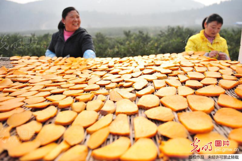 官庄GDP_中国gdp增长图(3)