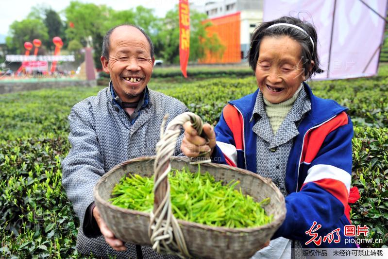 转移性右下腹痛_农民的转移性收入