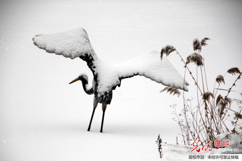 未来三天我国将持续大范围雨雪天气 北方降雪