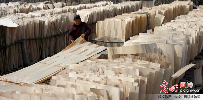 江苏东海:钢厂调涨 板材走俏_张开虎