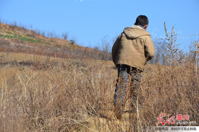 背影_董向阳_光明图片分享