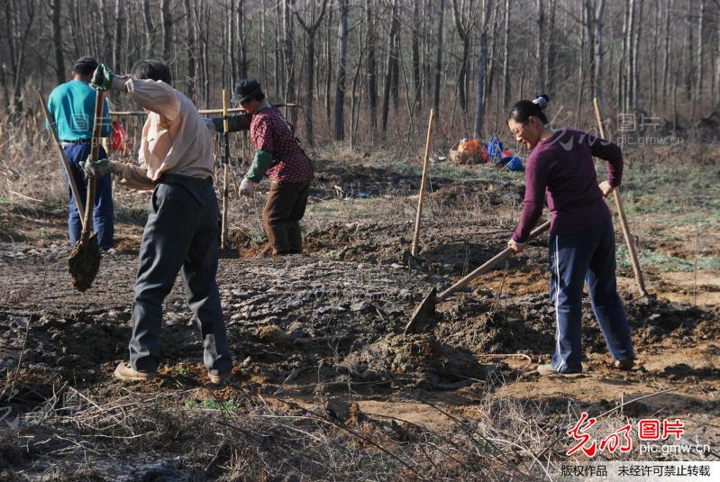 江苏镇江:女教师转行做猪倌成创业能手