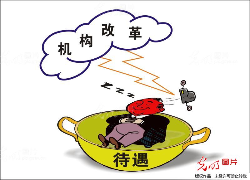 机构改革怪象_王华斌