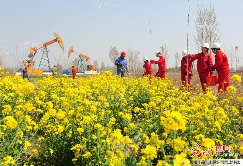 河南濮阳:中原油气田定为国家级绿色矿山试点