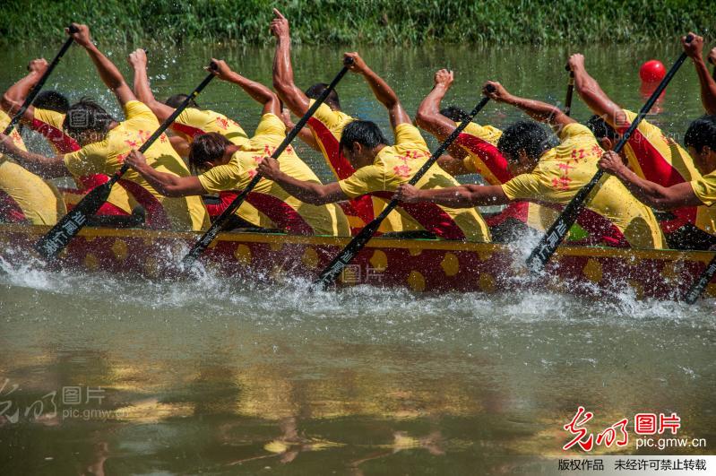 深圳:龙舟竞渡迎佳节
