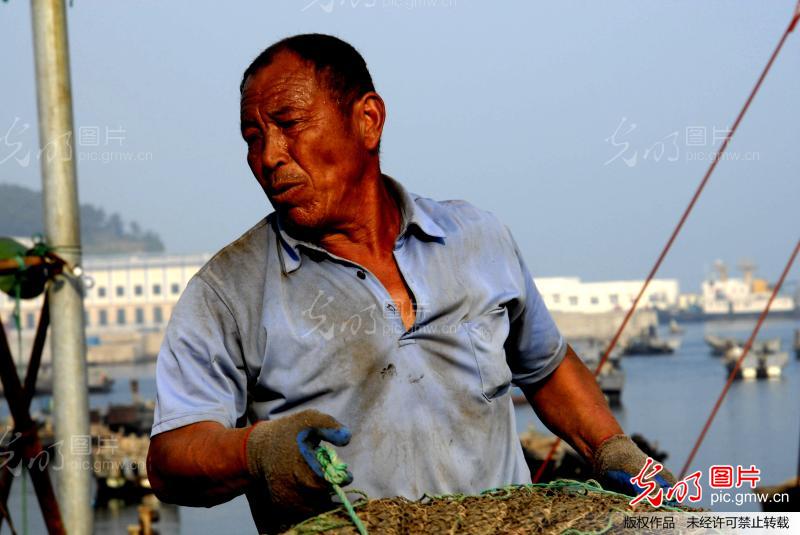 渔民画伞图片大全_渔民画伞图片下载