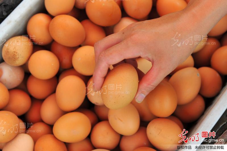 全国鸡蛋价格降至2013年以来最低水平