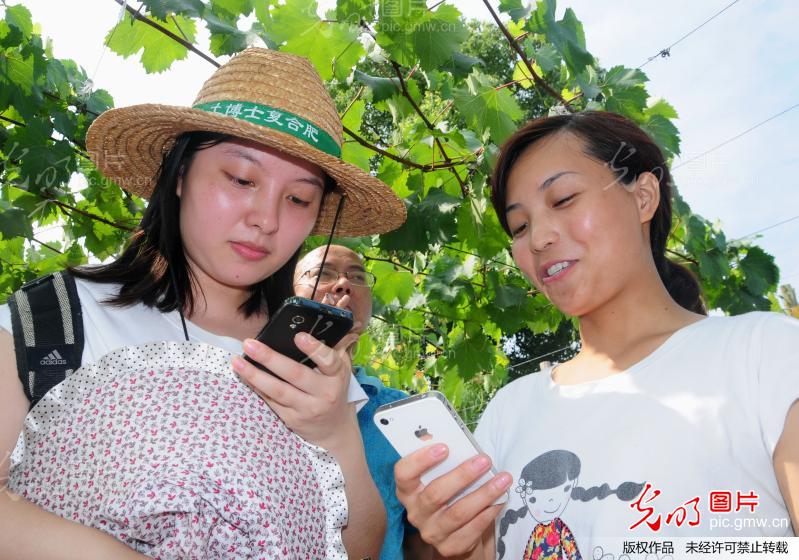 女大学生租地种葡萄年赚百万_李建明