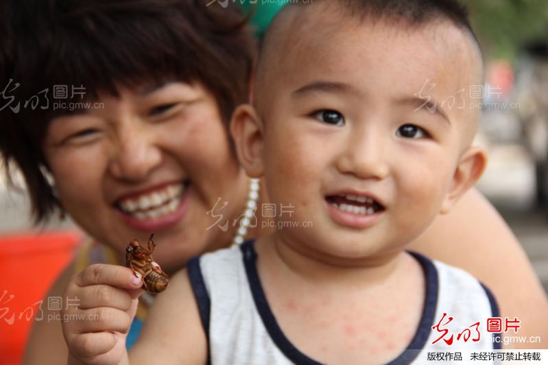 河南内黄爬叉受青睐