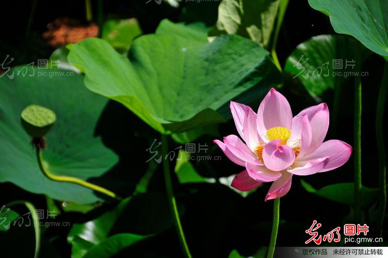 松原市 松原到长春火车时刻表 松原天气预报1