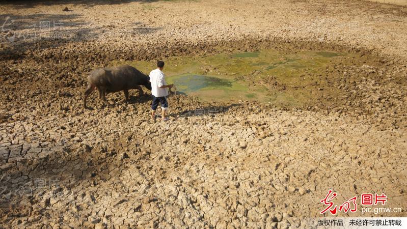 贵州玉屏:遭遇该地气象史上最严重干旱_新闻