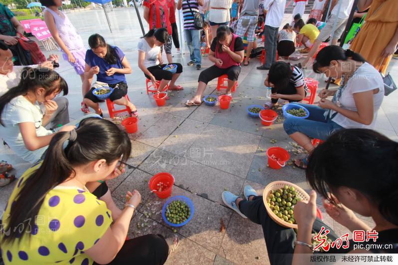 江西广昌:举办白莲加工技艺竞赛推动省级非遗