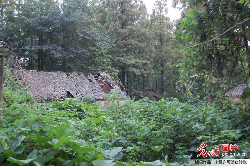 农村人口迁徙进城留下的无人村_新闻