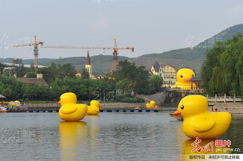 ɽգѼѼ衱 5ֻѼ侰