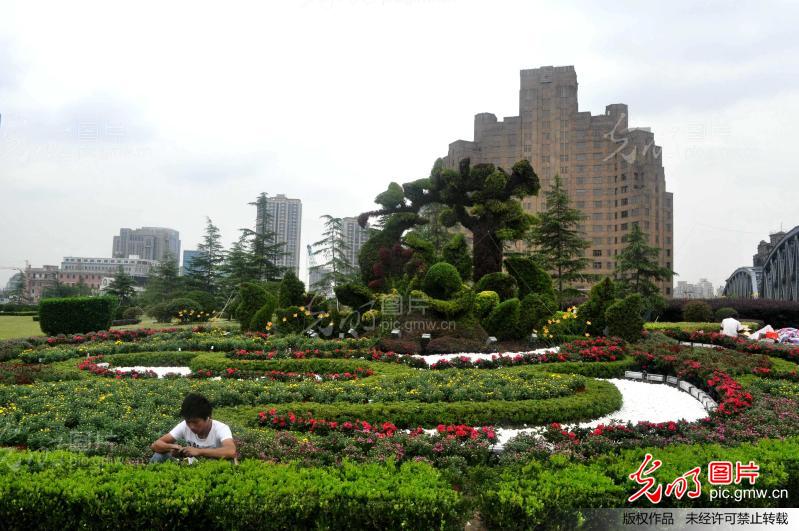 上海国庆花卉布置比去年下降40%_新闻