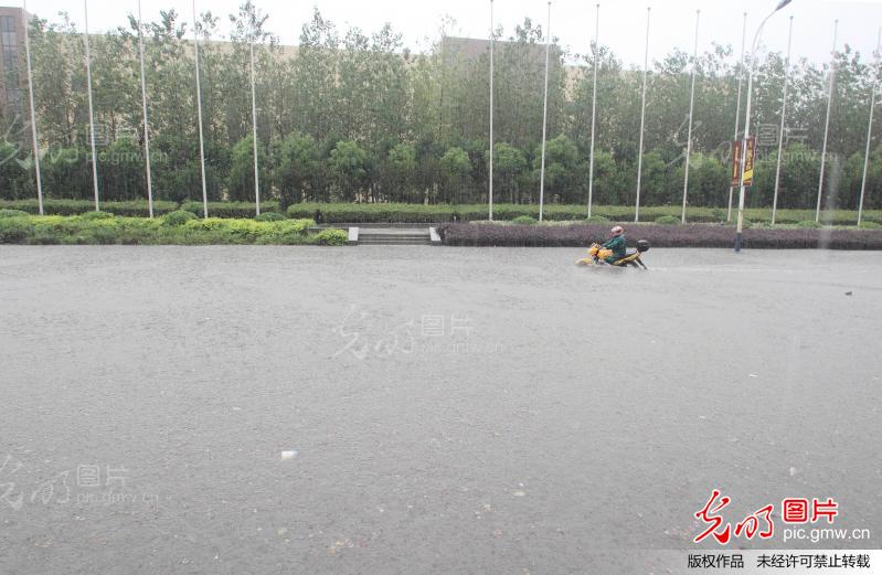 浙江绍兴:强台风菲特横扫 滨海豪雨如注 局地