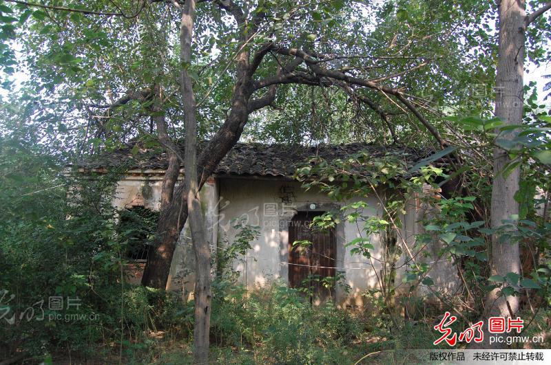 探访无人村:庙陈湾_新闻