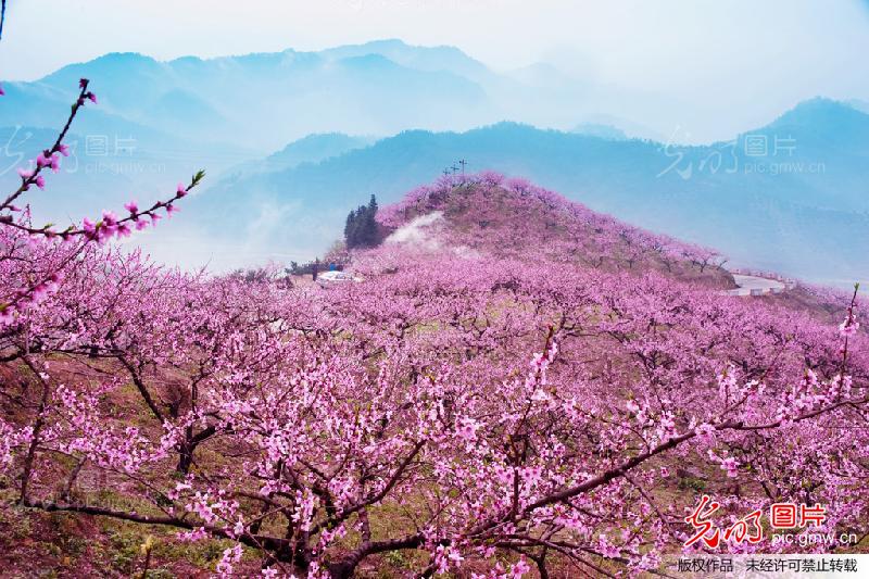 满园春色_创意--风光旅游