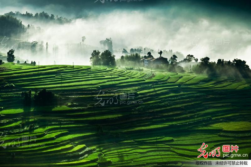 生态沃土,绿色家园_创意