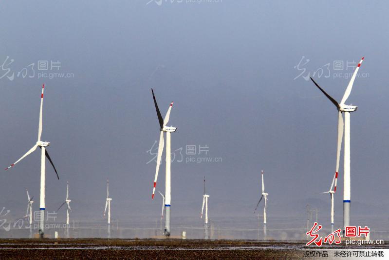 新疆哈密:东南风区首台风电机组并网发电_蔡增
