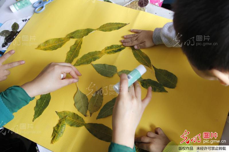 落叶做贴画 迎接勤俭日 落叶做贴画 迎接勤俭日