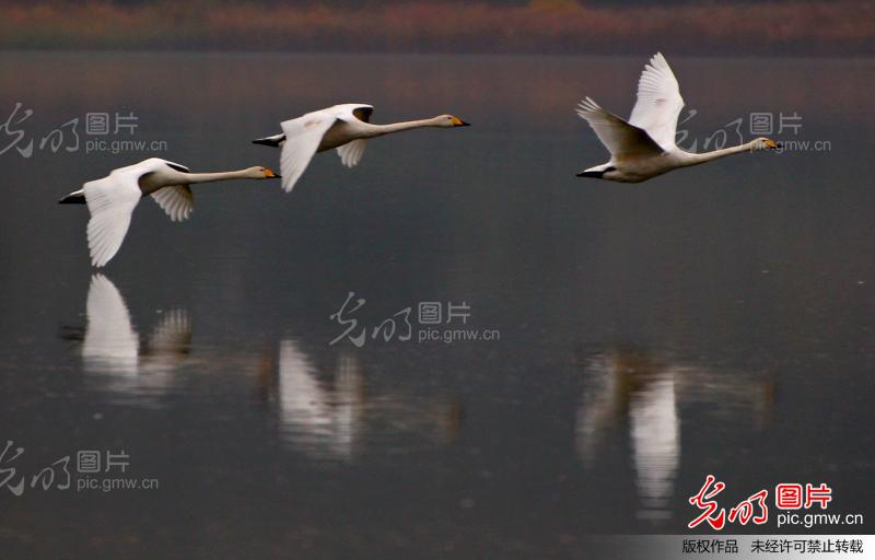 20131103075802_6807.jpg